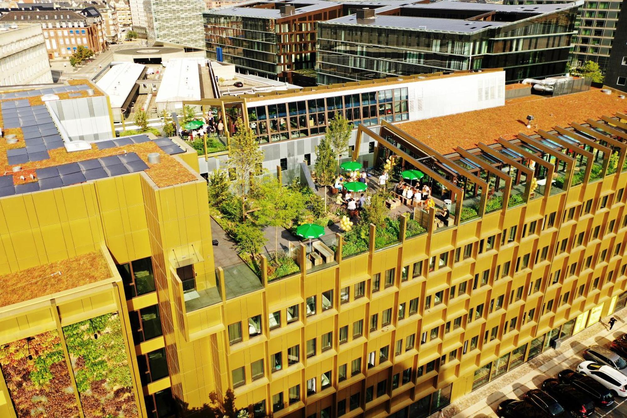 بيت شباب Next House كوبنهاجن المظهر الخارجي الصورة The building's rooftop garden